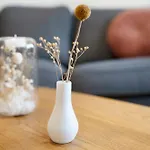 Duenenbungalow Semesterbostad Grömitz